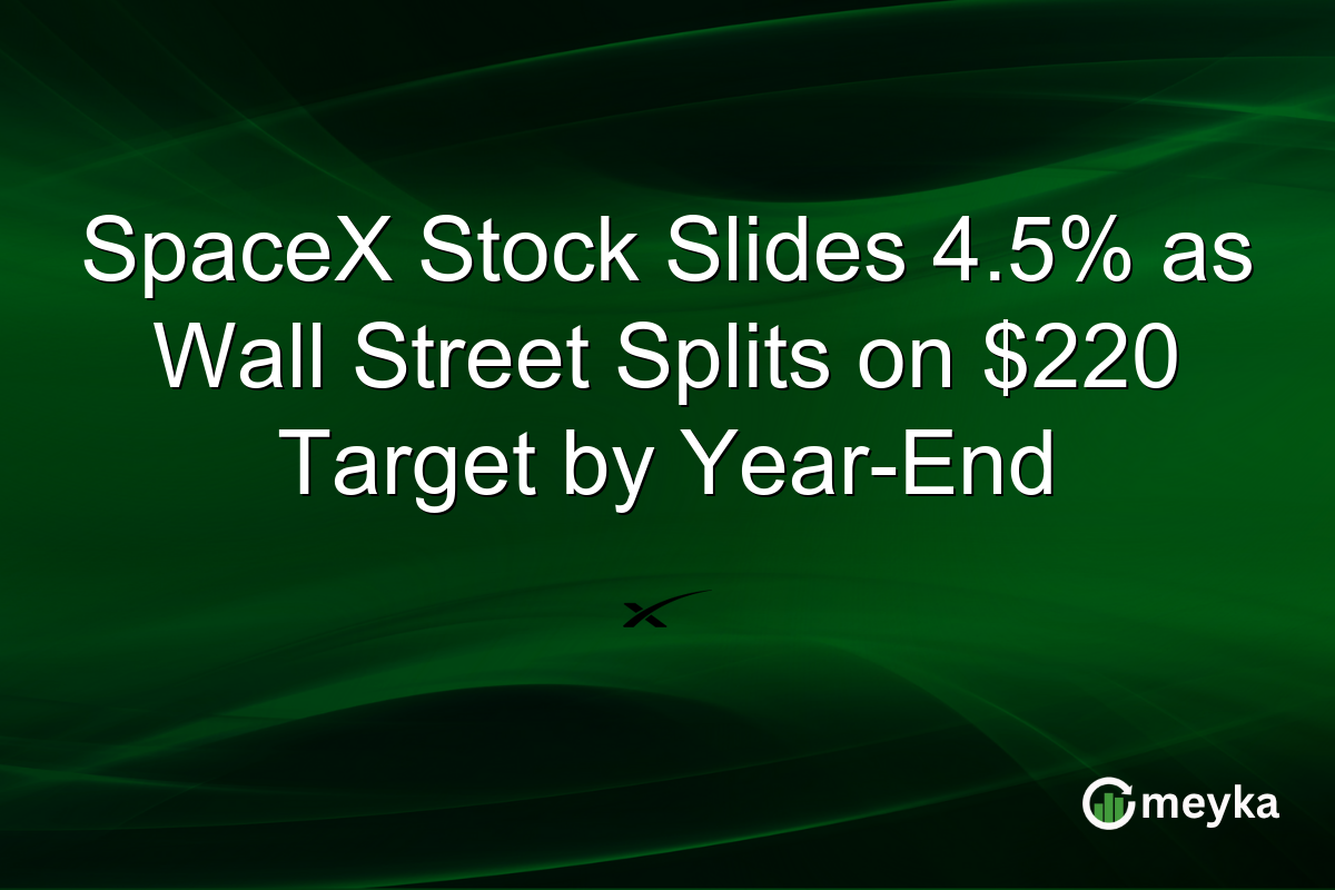 SpaceX Stock Slides 4.5% as Wall Street Splits on $220 Target by Year-End