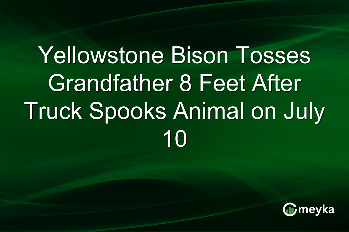 Yellowstone Bison Tosses Grandfather 8 Feet After Truck Spooks Animal on July 10