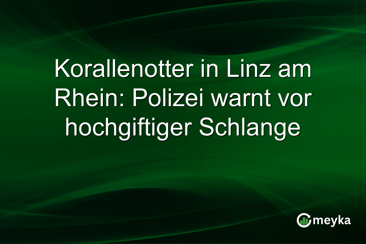 Korallenotter in Linz am Rhein: Polizei warnt vor hochgiftiger Schlange