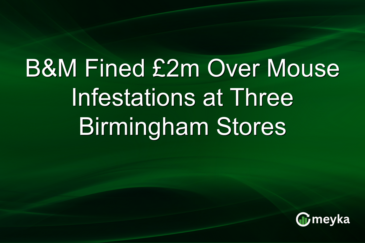 B&M Fined £2m Over Mouse Infestations at Three Birmingham Stores