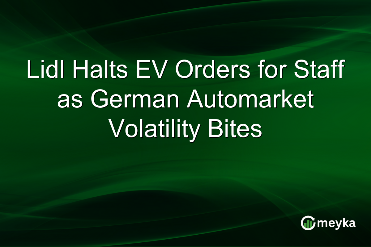 Lidl Halts EV Orders for Staff as German Automarket Volatility Bites