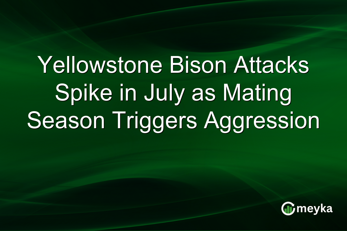 Yellowstone Bison Attacks Spike in July as Mating Season Triggers Aggression