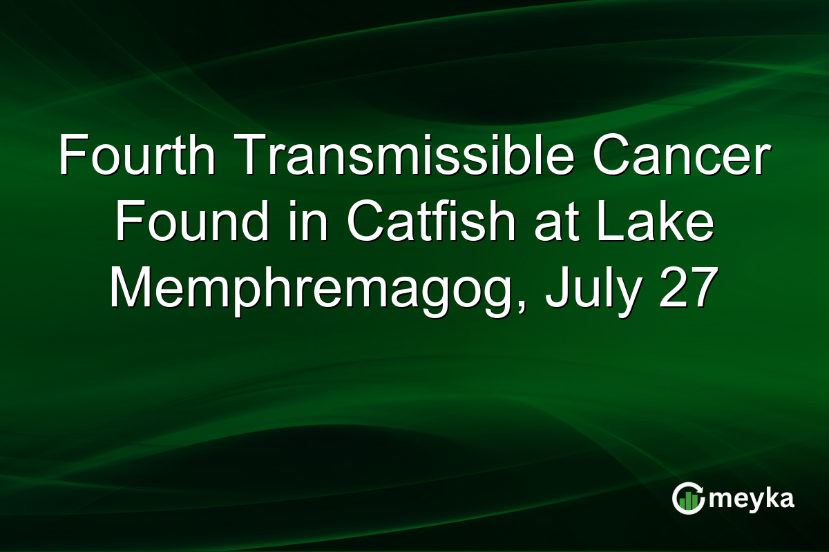 Fourth Transmissible Cancer Found in Catfish at Lake Memphremagog, July 27
