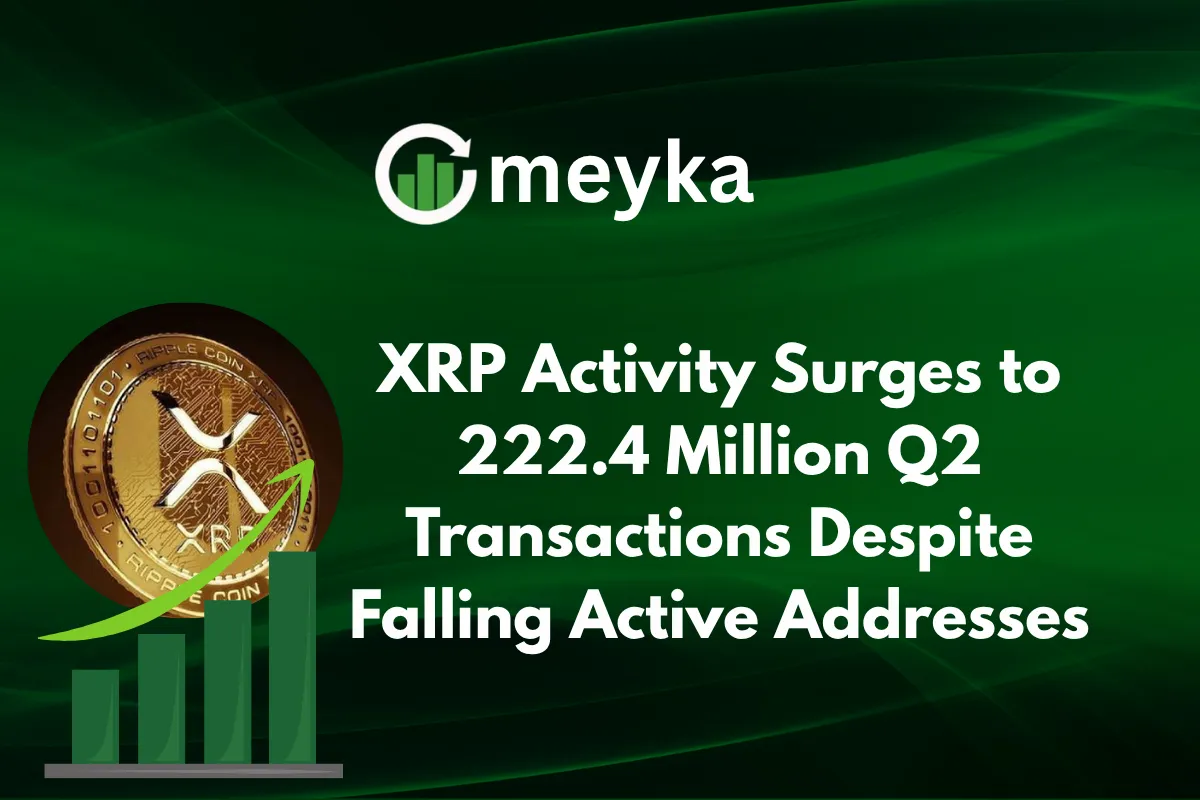 XRP Activity Surges to 222.4 Million Q2 Transactions Despite Falling Active Addresses