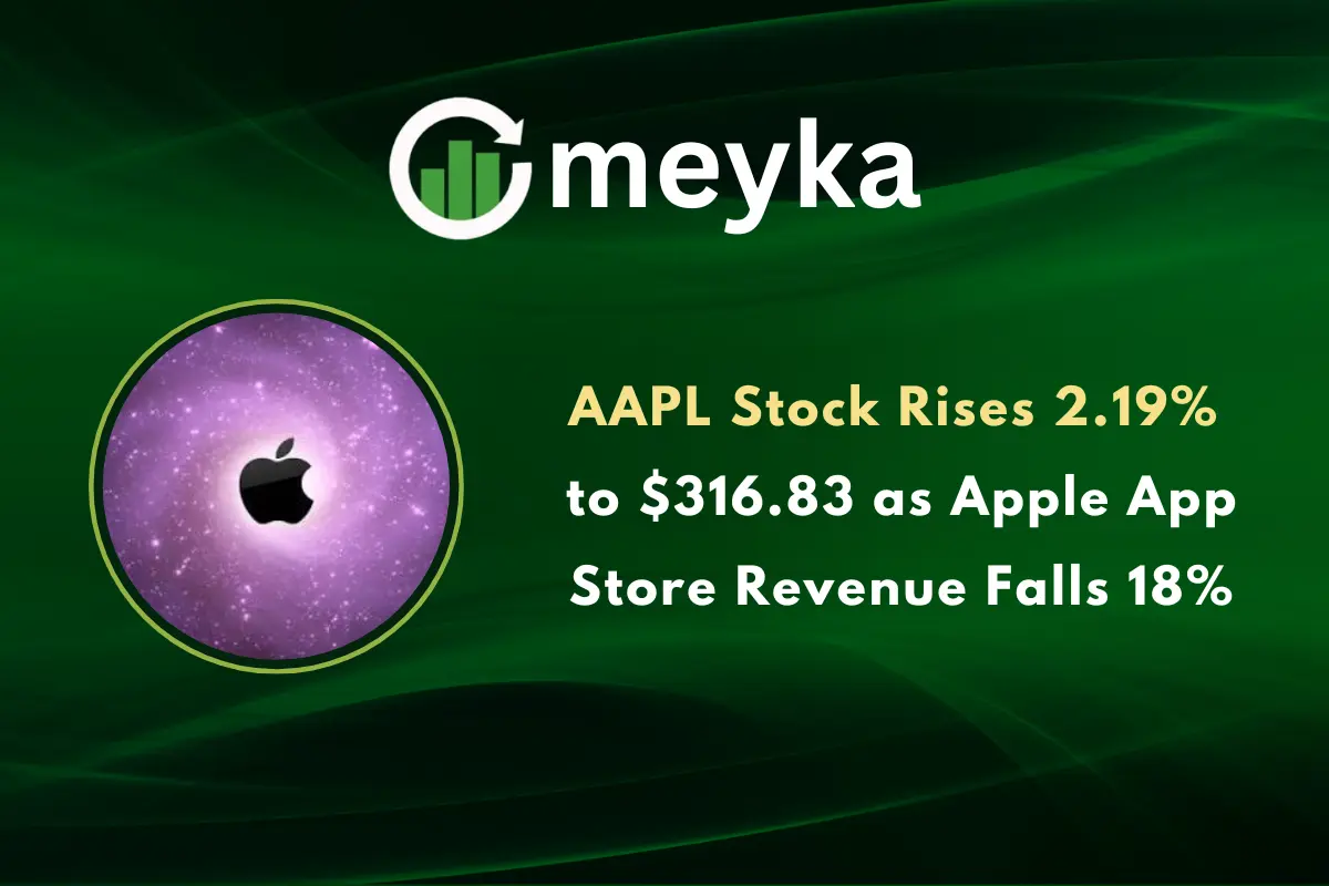 AAPL Stock Rises 2.19% to $316.83 as Apple App Store Revenue Falls 18%