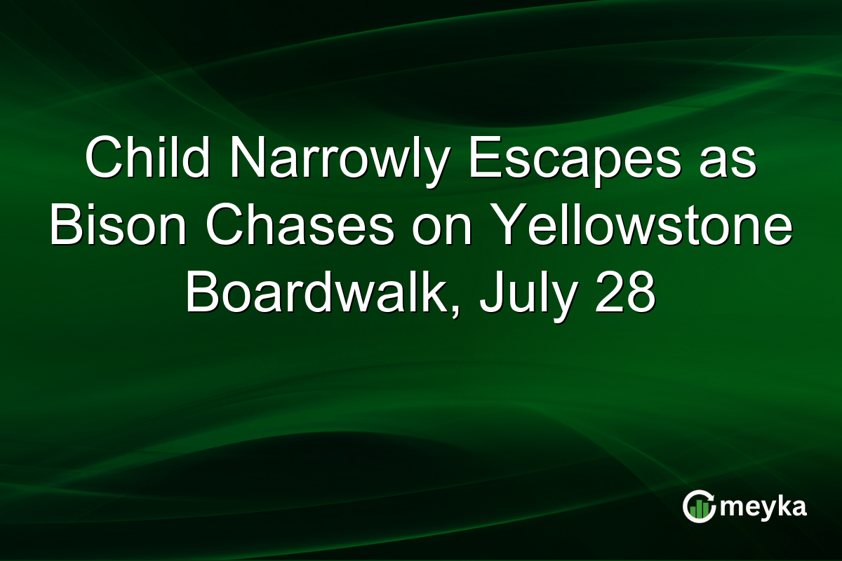 Child Narrowly Escapes as Bison Chases on Yellowstone Boardwalk, July 28