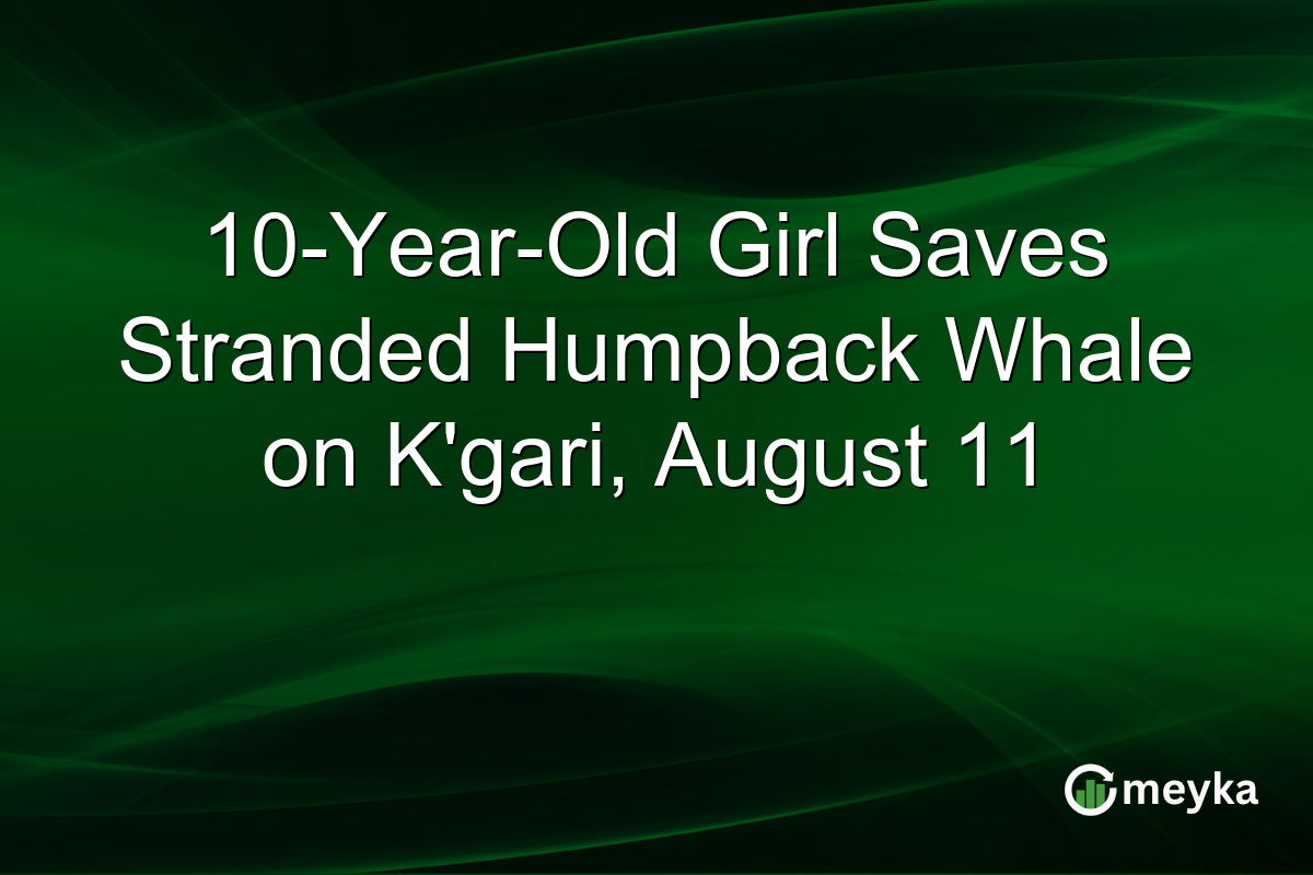 10-Year-Old Girl Saves Stranded Humpback Whale on K’gari, August 11