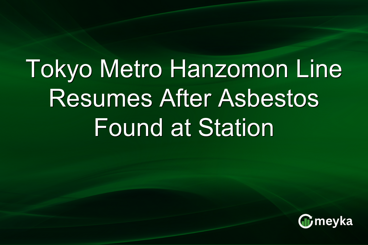 Tokyo Metro Hanzomon Line Resumes After Asbestos Found at Station