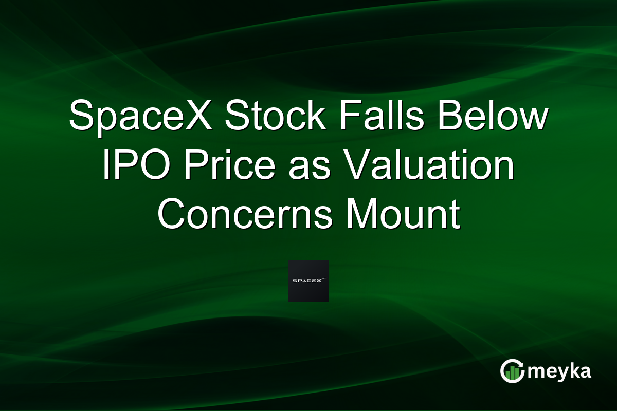 SpaceX Stock Falls Below IPO Price as Valuation Concerns Mount