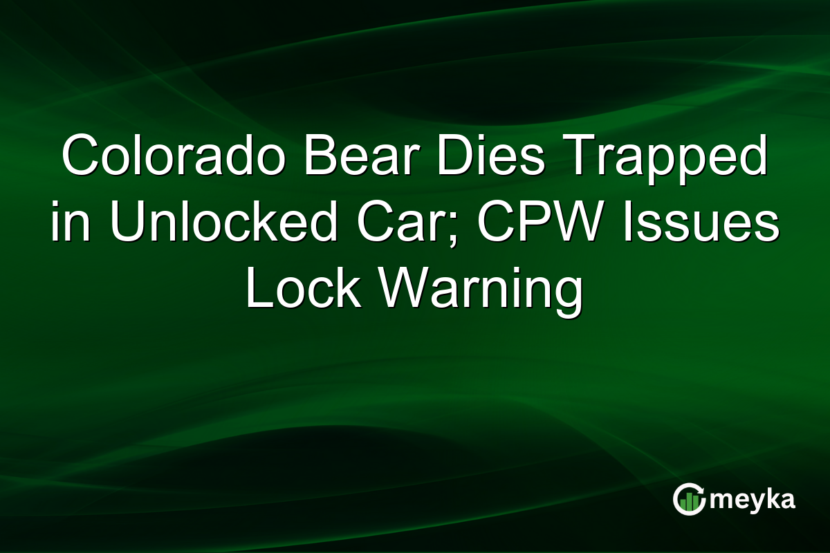 Colorado Bear Dies Trapped in Unlocked Car; CPW Issues Lock Warning
