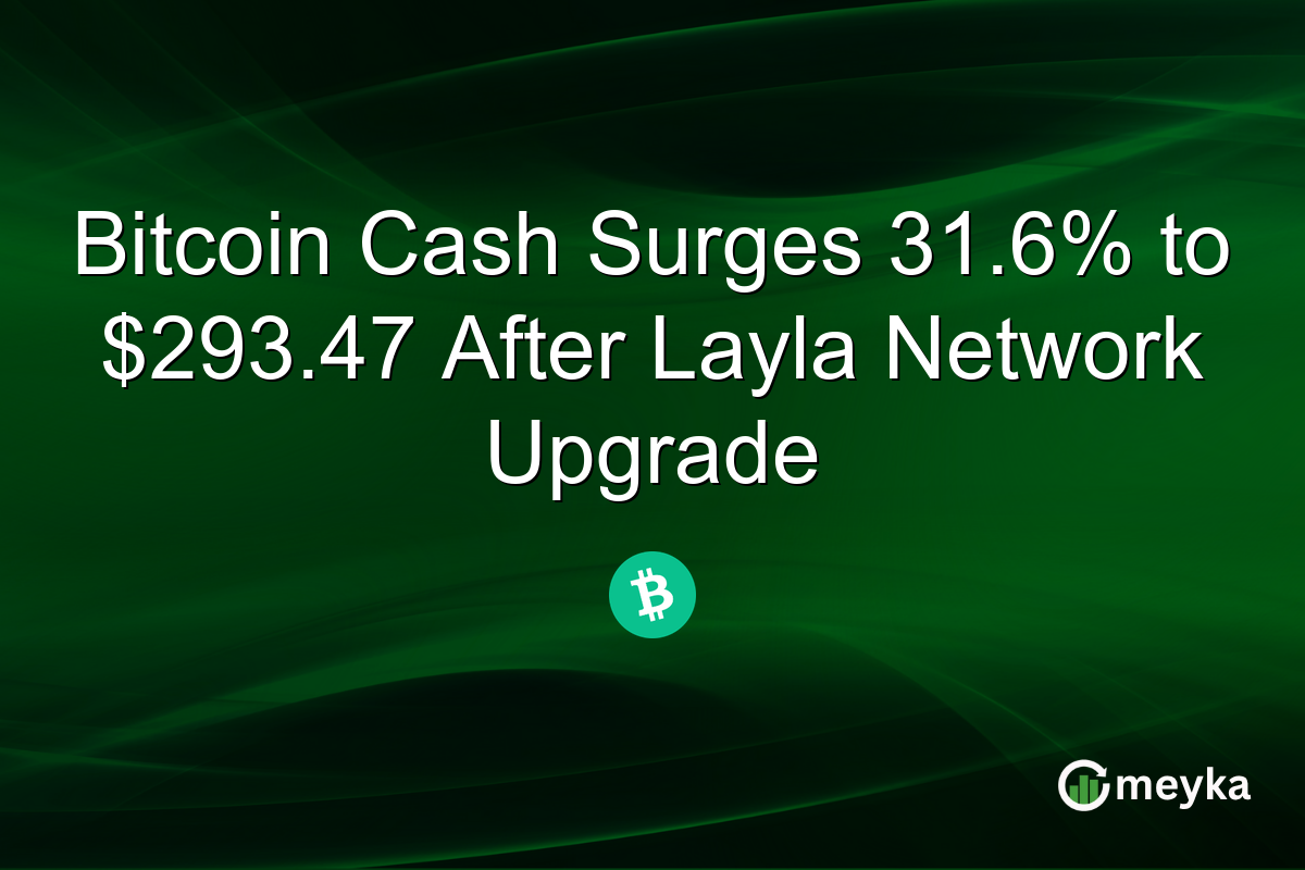 Bitcoin Cash Surges 31.6% to $293.47 After Layla Network Upgrade