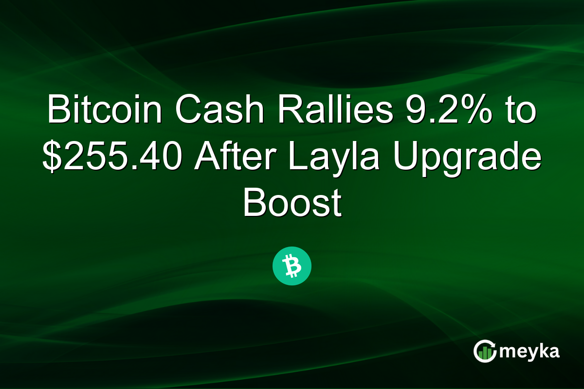 Bitcoin Cash Rallies 9.2% to $255.40 After Layla Upgrade Boost
