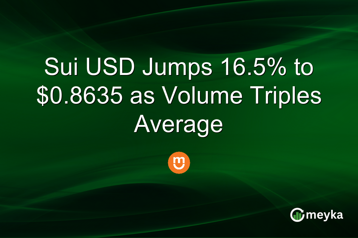 Sui USD Jumps 16.5% to $0.8635 as Volume Triples Average