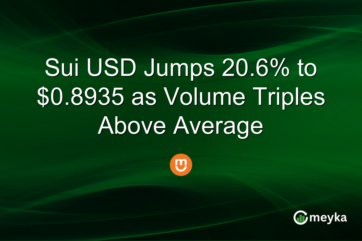 Sui USD Jumps 20.6% to $0.8935 as Volume Triples Above Average