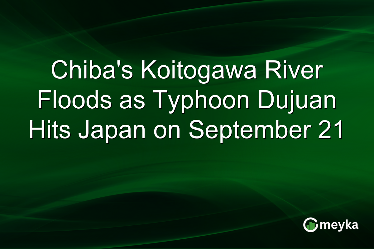 Chiba’s Koitogawa River Floods as Typhoon Dujuan Hits Japan on September 21