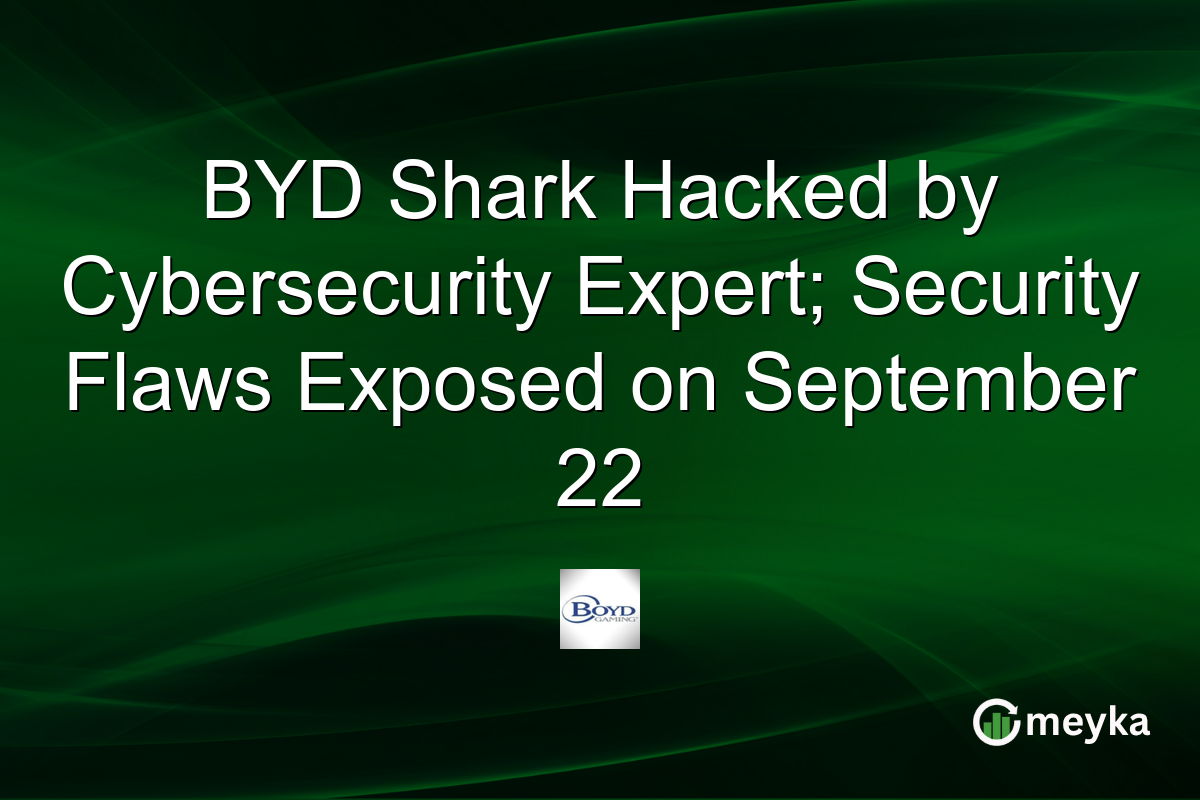 BYD Shark Hacked by Cybersecurity Expert; Security Flaws Exposed on September 22