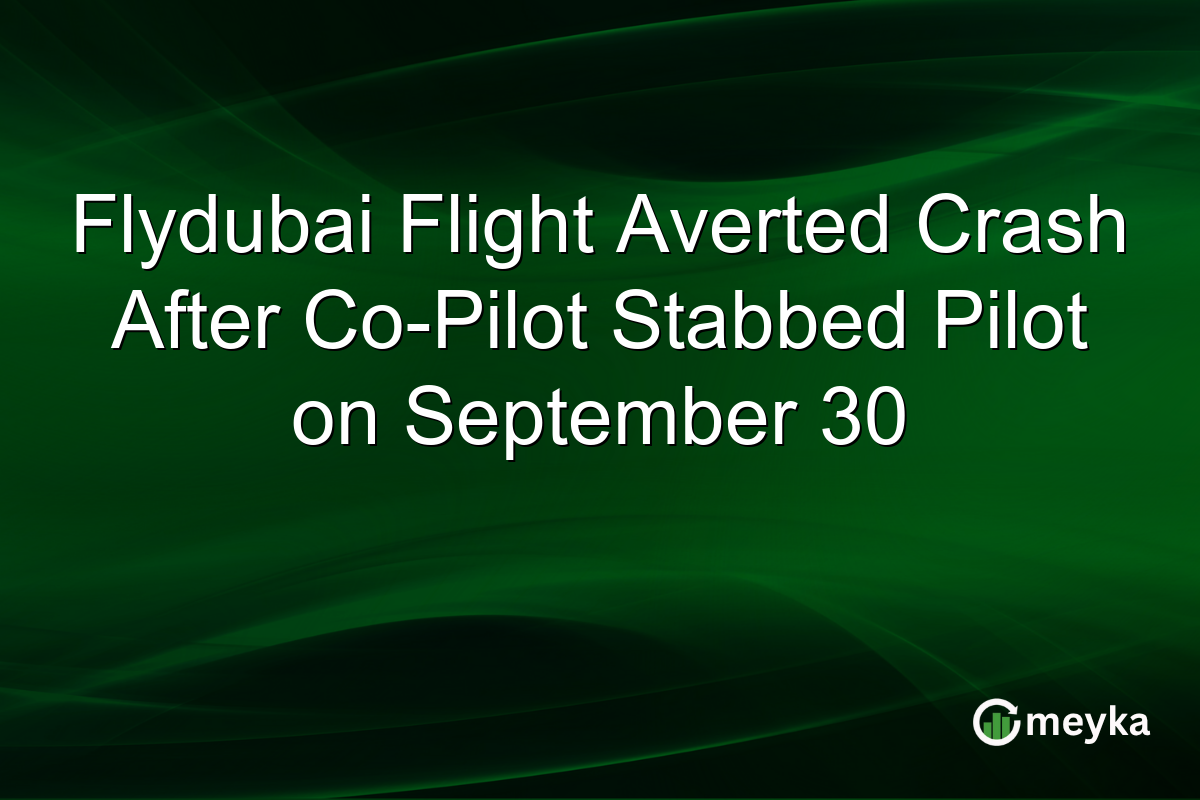 Flydubai Flight Averted Crash After Co-Pilot Stabbed Pilot on September 30