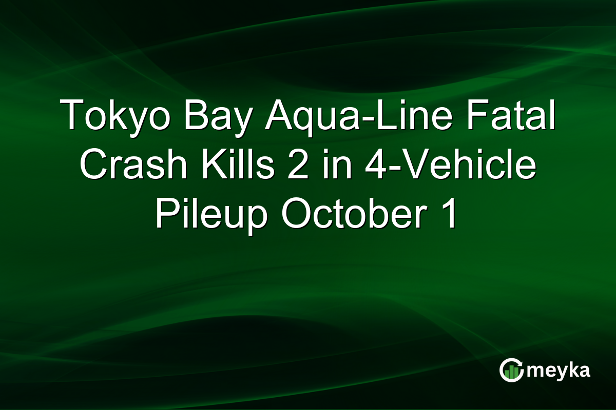Tokyo Bay Aqua-Line Fatal Crash Kills 2 in 4-Vehicle Pileup October 1